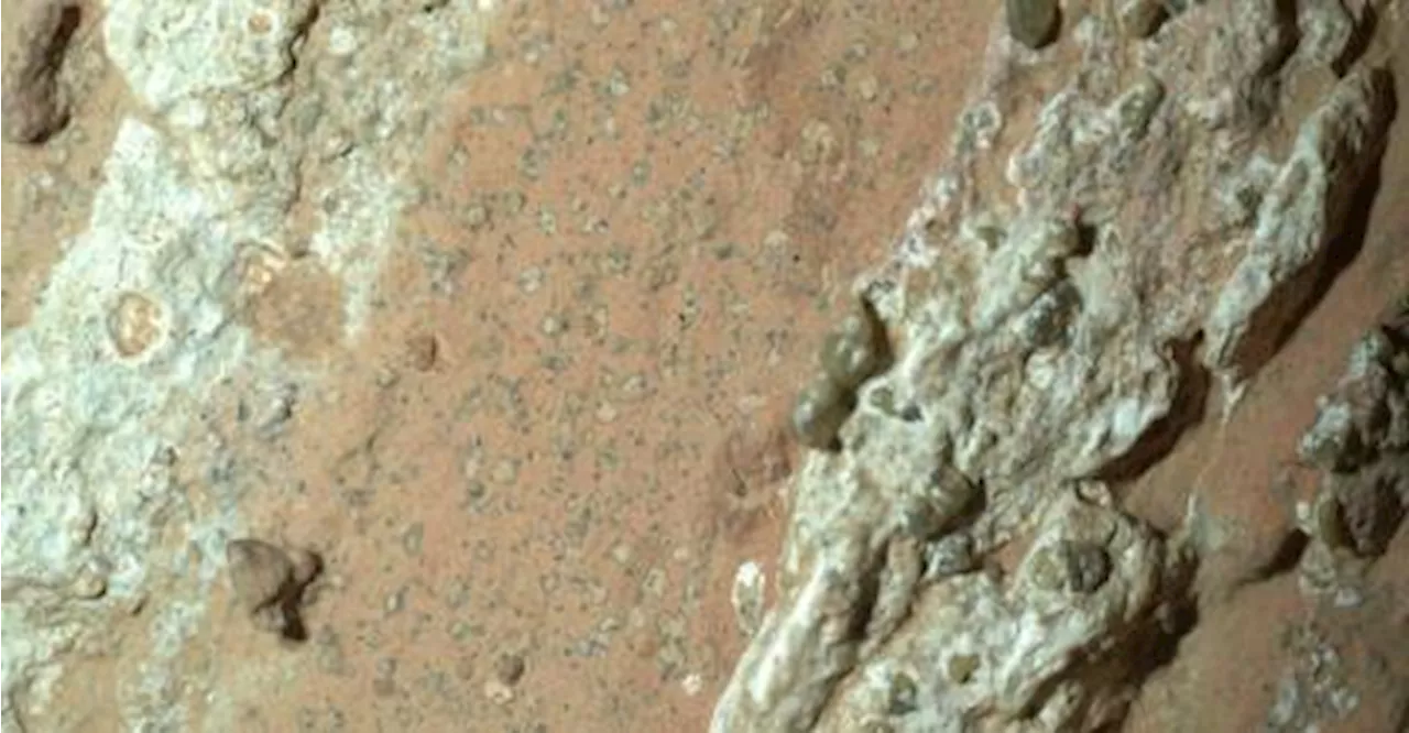 NASA rover discovers rock that suggests microbial life on mars