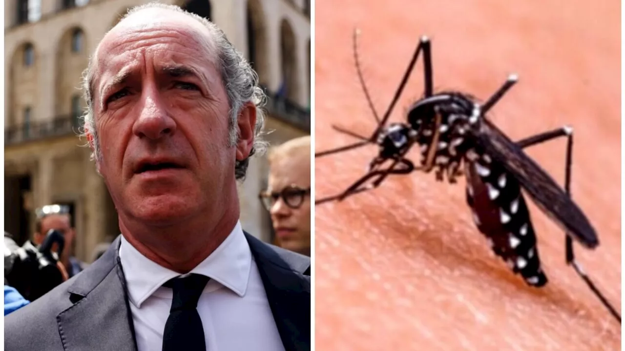 Focolai di West Nile in Italia, un altro morto in Veneto. Zaia: "Rafforzare la disinfestazione"