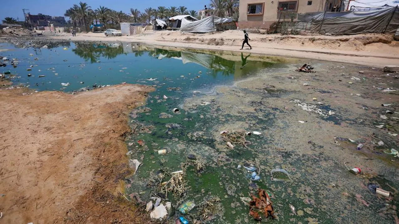 How Israel's war intensified Gaza's water and public health crises