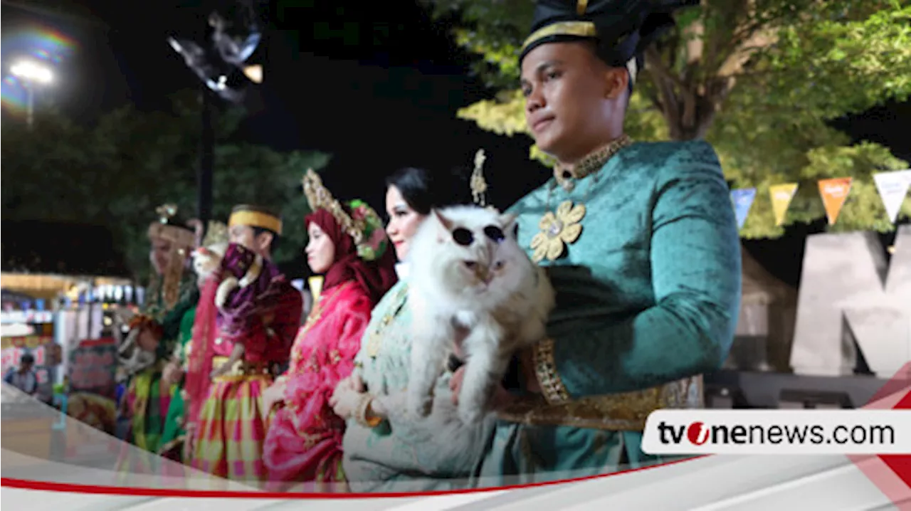 Unik, Kucing-kucing Cantik dan Lucu Ikut Fashion Show di F8 Makassar