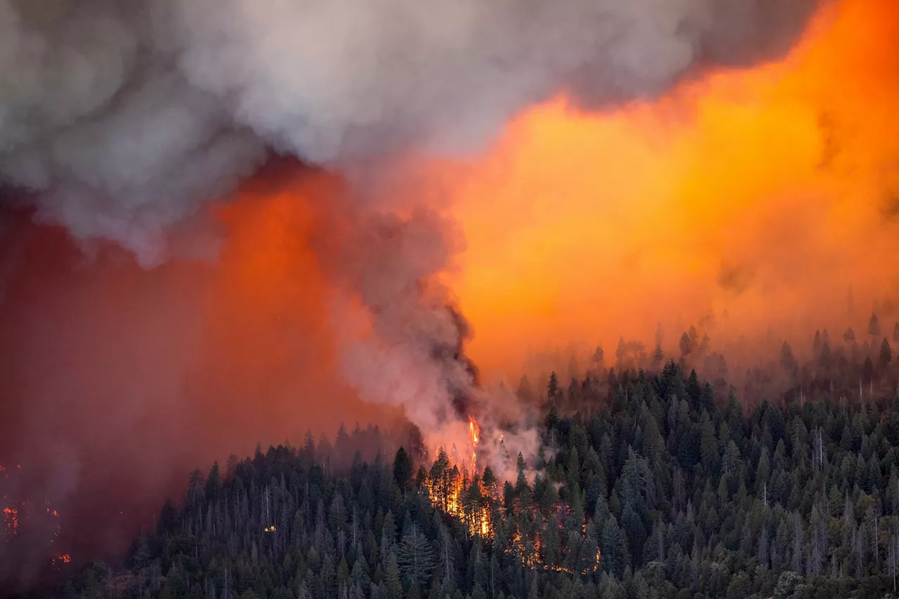 Park Fire’s rapid growth puts it among largest in California history