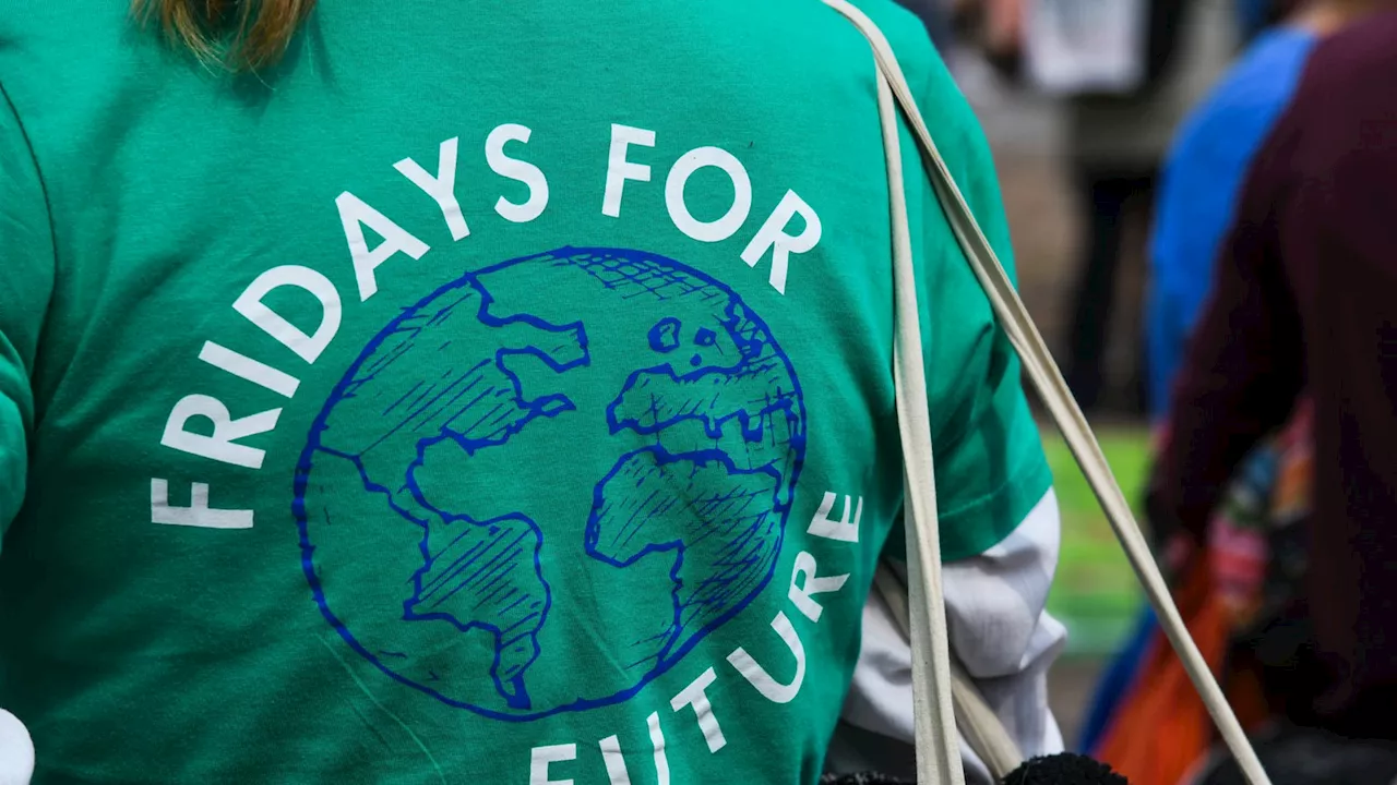 Fridays for Future: Vernetzen, diskutieren und wieder demonstrieren