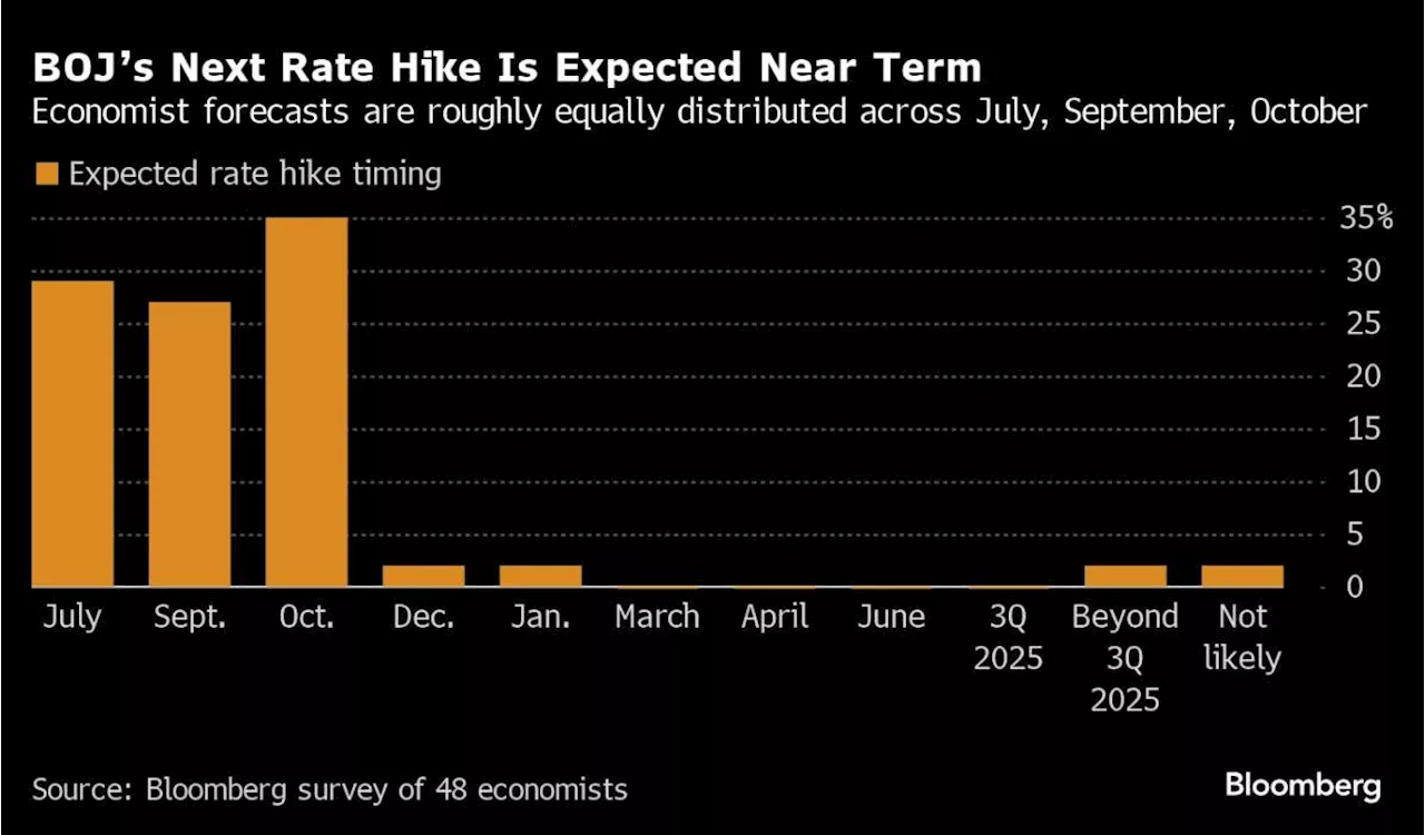 Fed Is About to Nod at a Rate Cut as Job Growth Moderates