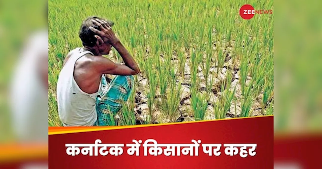 Farmer Suicide: कर्नाटक में क्यों 15 महीनों में करीब 1200 किसानों ने कर ली आत्महत्या? इन 3 जिलों में सबसे ज्यादा केस