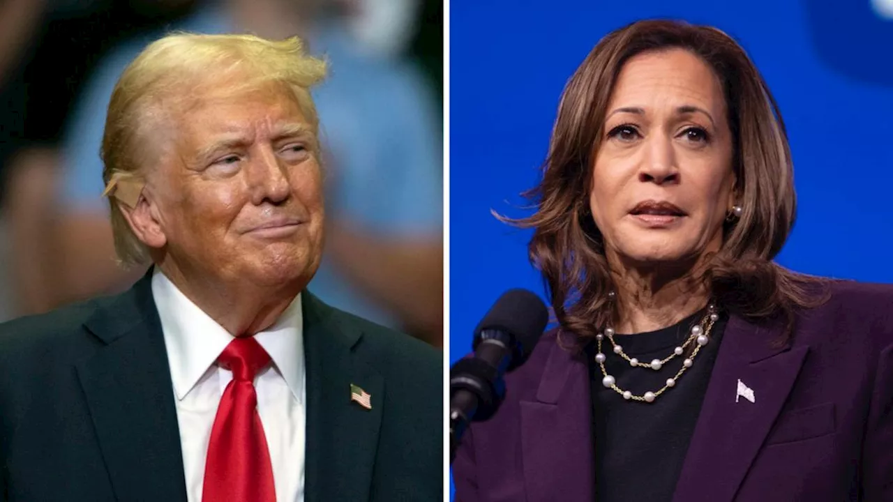 Kamala Harris, Donald Trump trade blows on US election campaign trail