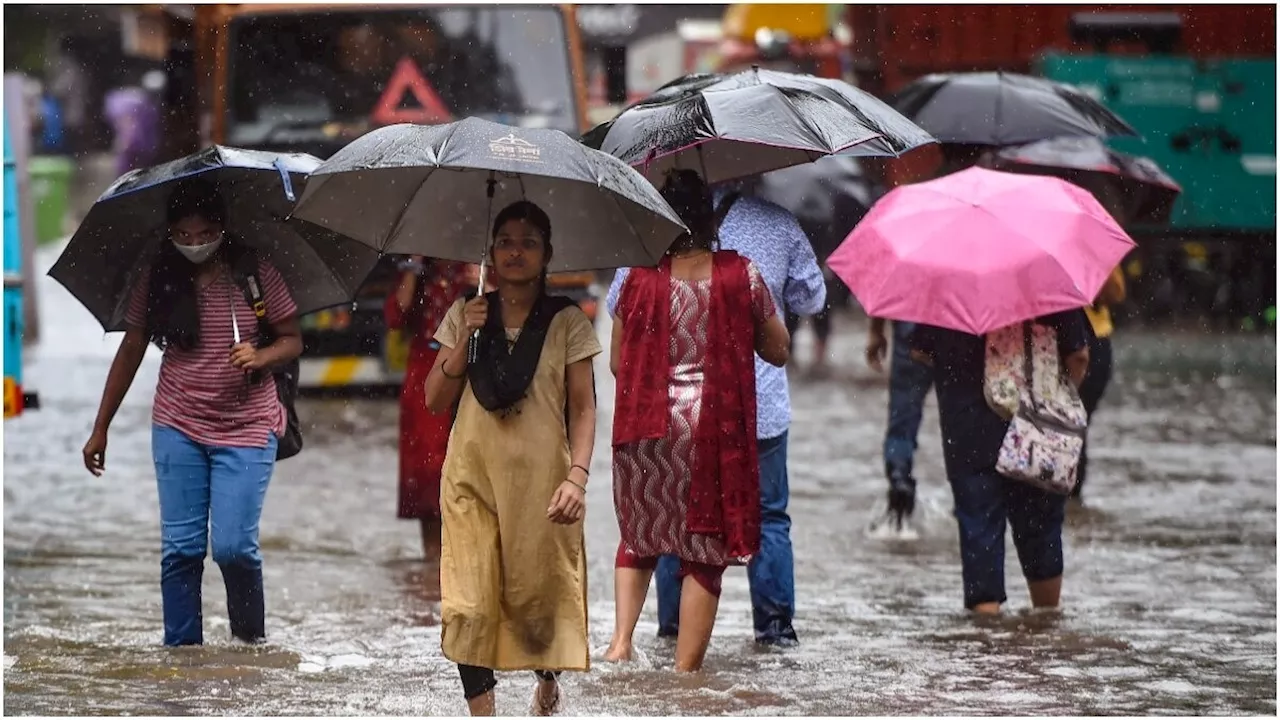 महाराष्ट्र-गुजरात समेत इन राज्यों में बारिश ने मचाई तबाही, उफान पर नदियां, जानें मौसम पर IMD का अपडेट