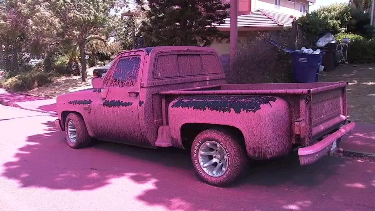 Bay Point neighborhood painted pink by retardant as fire crews save homes from Point Fire