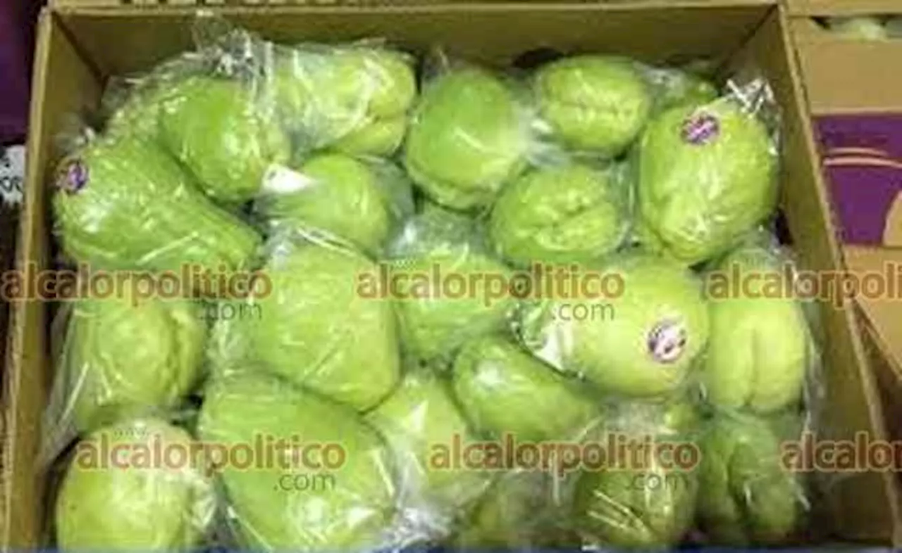 Intensos calores pegaron en producción y precios de chayote