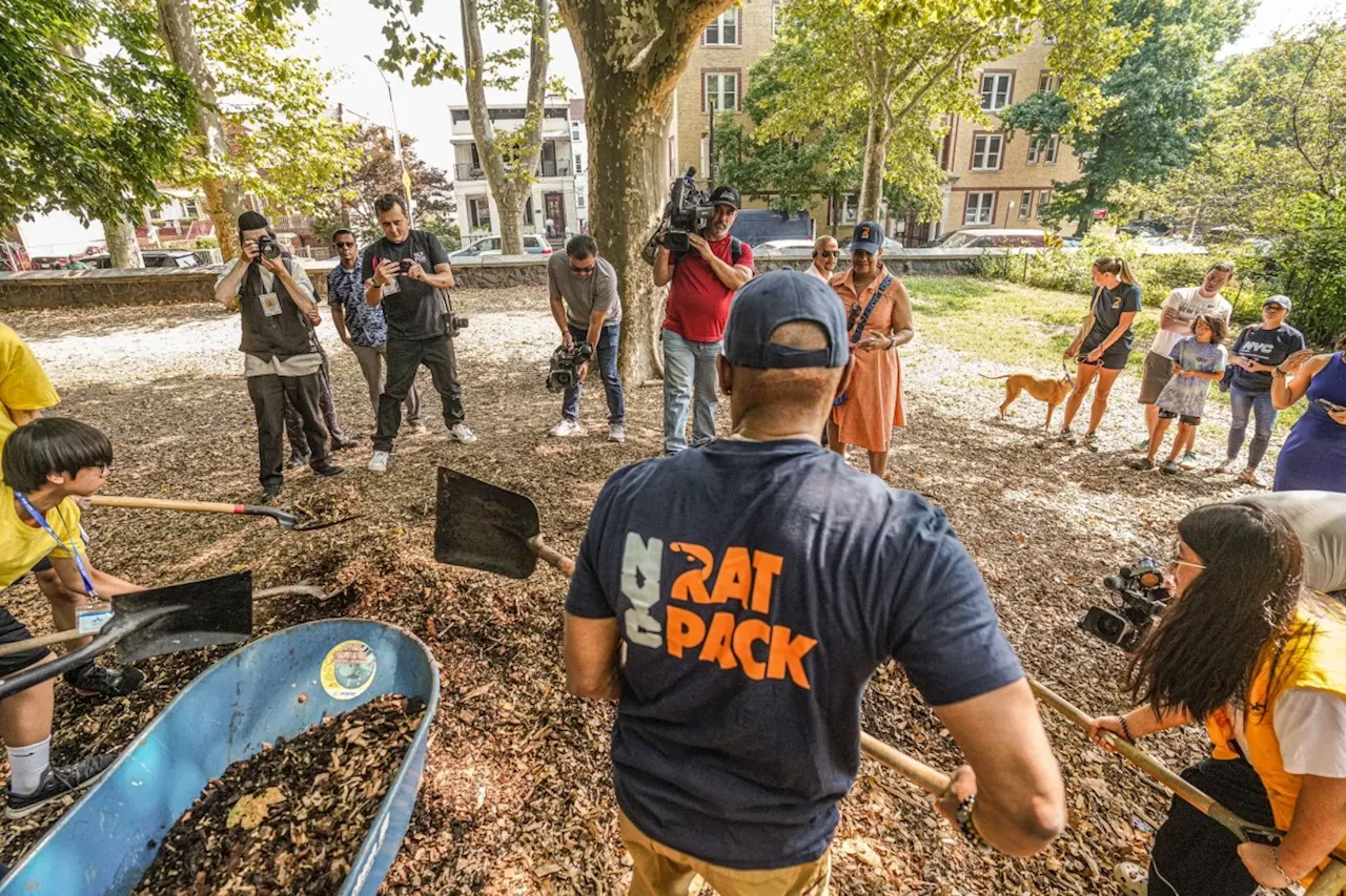 NYC rolls out 'Rat Pack' to help keep rodents away 'on the street where you live' |