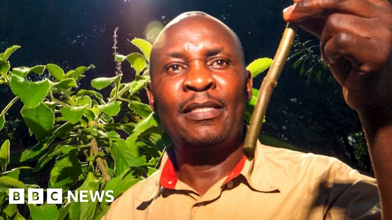 The Kenyan plant specialist making the case for traditional African medicine