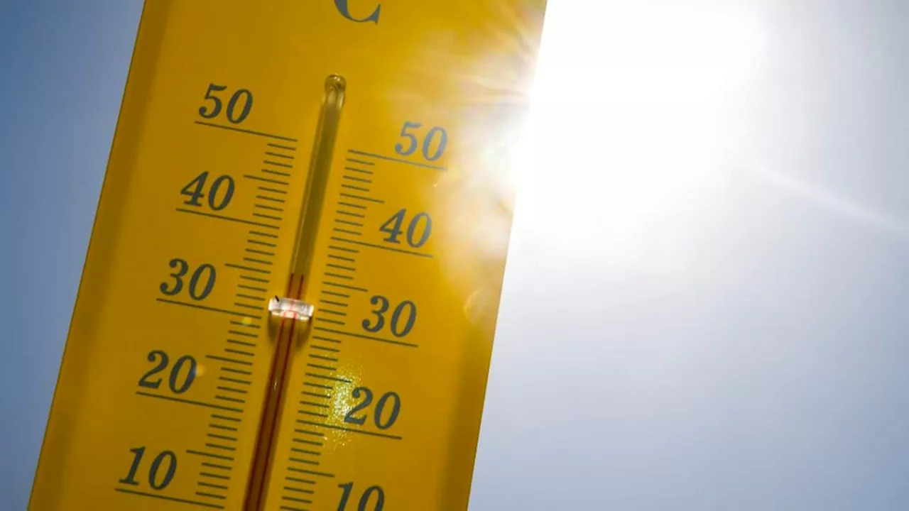 Jusqu'à 38°C: de fortes chaleurs attendues dans le sud du pays ce dimanche