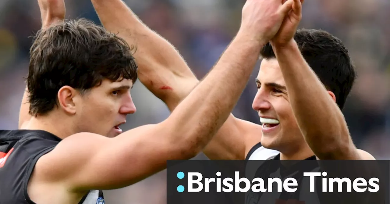 Nick Daicos dazzles as Collingwood keep finals hopes alive