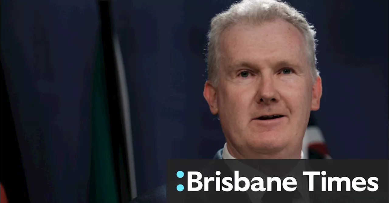 Tony Burke’s new ‘super portfolio’: Immigration and home affairs shift hands in reshuffle