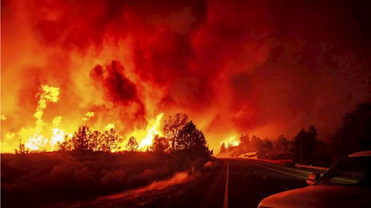 California Menyala! Dilanda Kebakaran Alam Terdahsyat