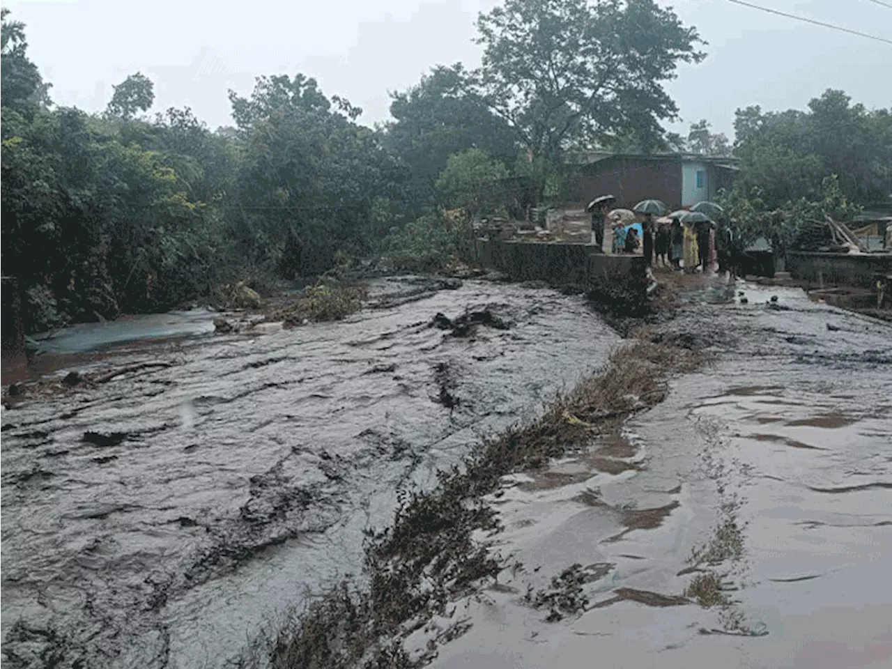 बिलासपुर-बस्तर संभाग में हैवी रेन का अलर्ट: SECL के लापता अधिकारी की तलाश; गरियाबंद में बाढ़ में फंसे 17 स्...