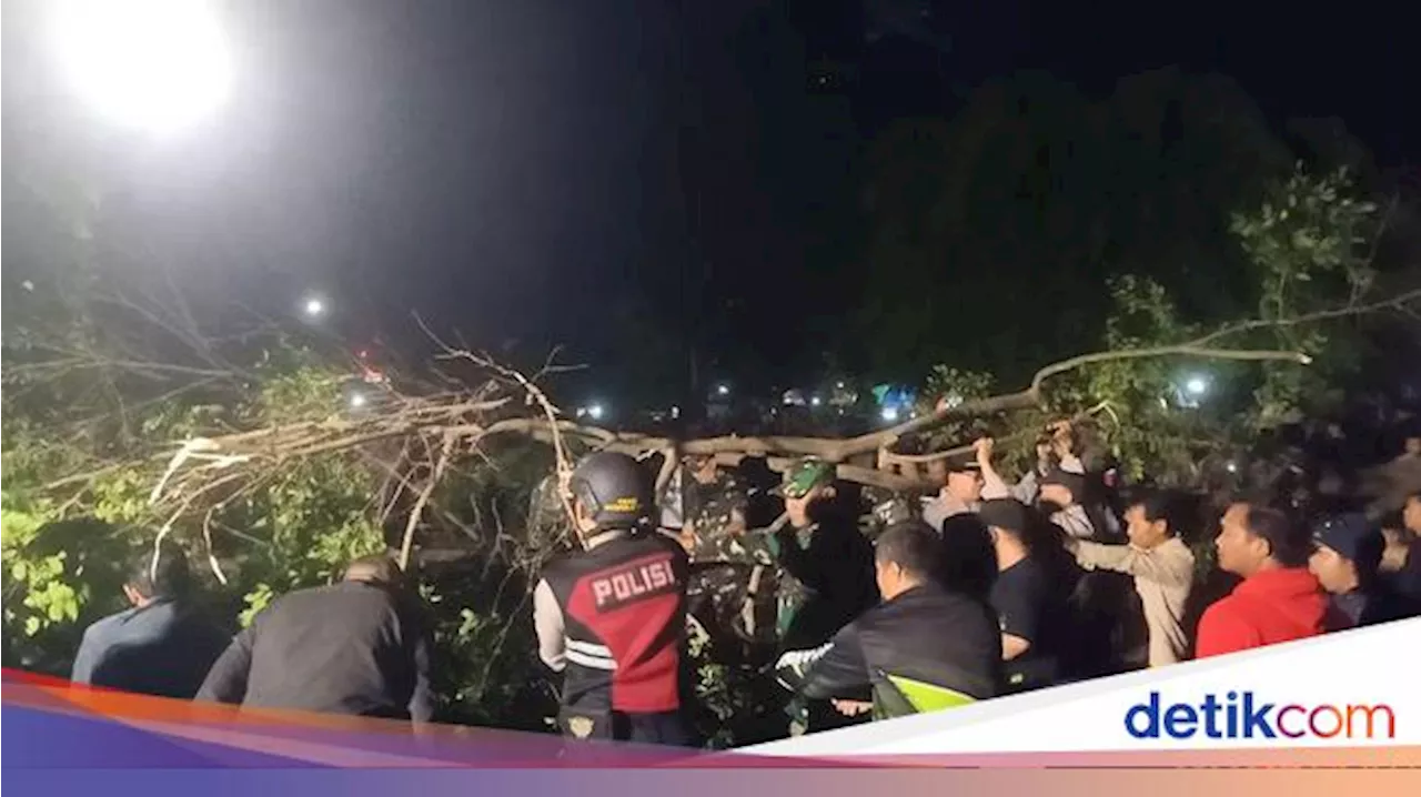 Horor Beringin Alun-alun Tumbang Timpa Pengunjung Banjarnegara Culture Heritage