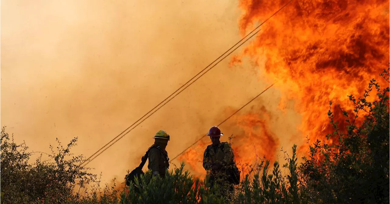 Waldbrände zerstörten bereits 140.000 Hektar in Kalifornien