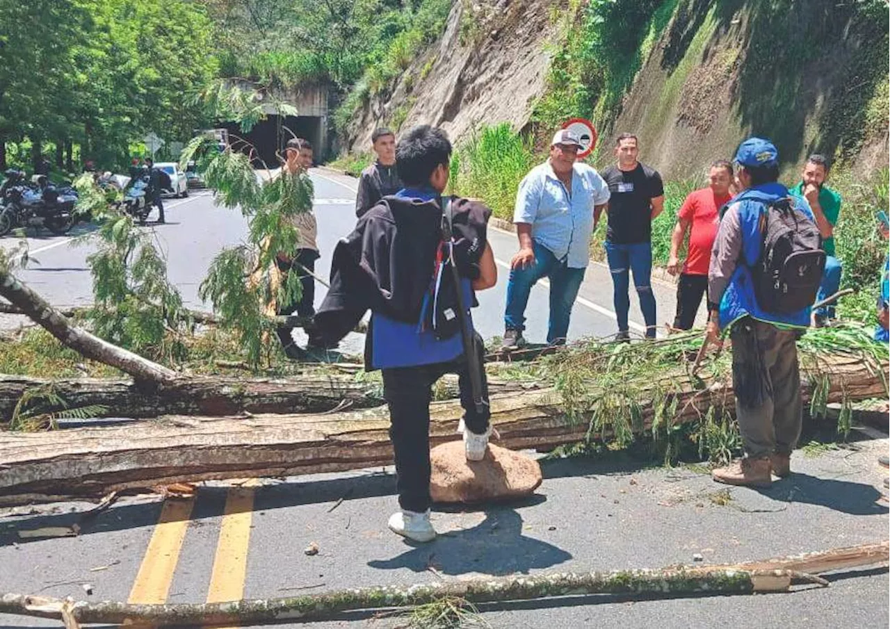 Comunidades indígenas de Frontino bloquean la vía Urabá-Medellín