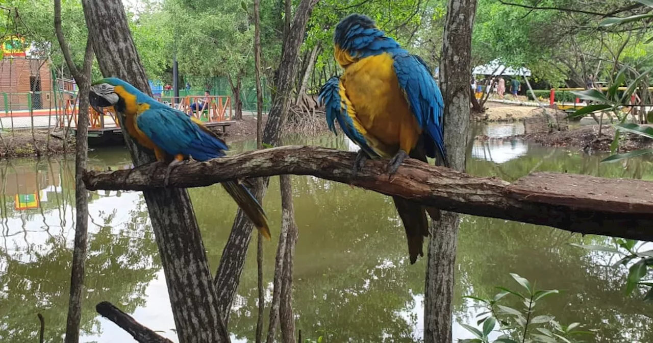 EPA inaugura Centro de Interpretación Ambiental en el parque Espíritu del Manglar