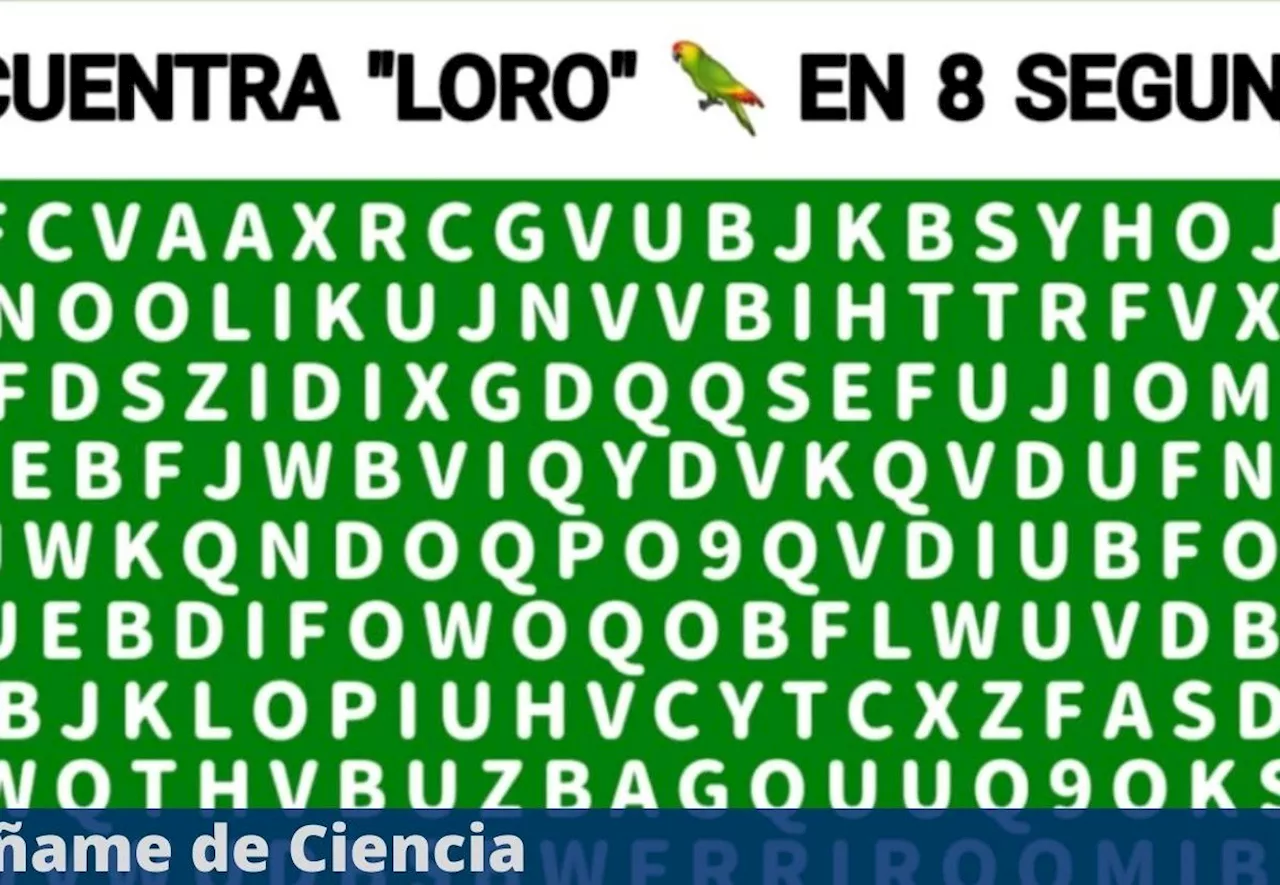 Acertijo visual para GENIOS: Encuentra la palabra «LORO» en menos de 7 segundos; sopa de letras