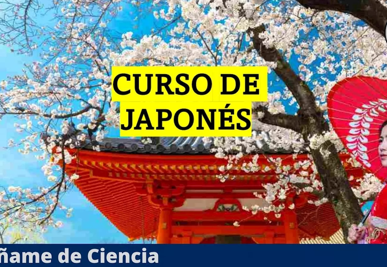 Aprende JAPONÉS con este curso virtual 100% GRATIS, ¡incluye certificado!