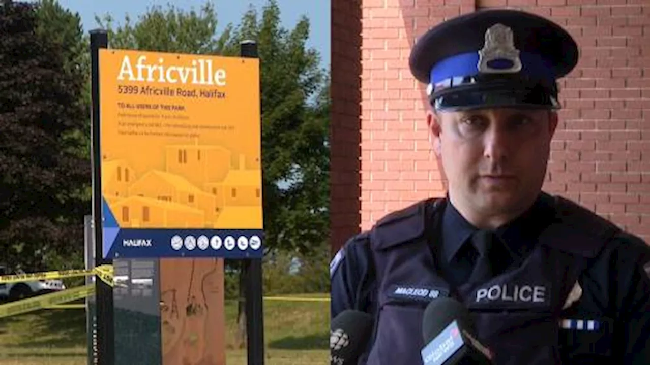 5 people hurt after shots fired at annual Africville reunion | Watch News Videos Online