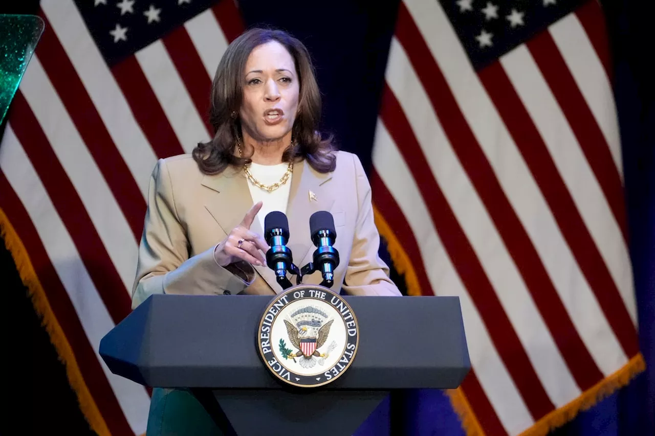 Kamala raised US$200-million in first week of White House campaign and signed up 170,000 volunteers