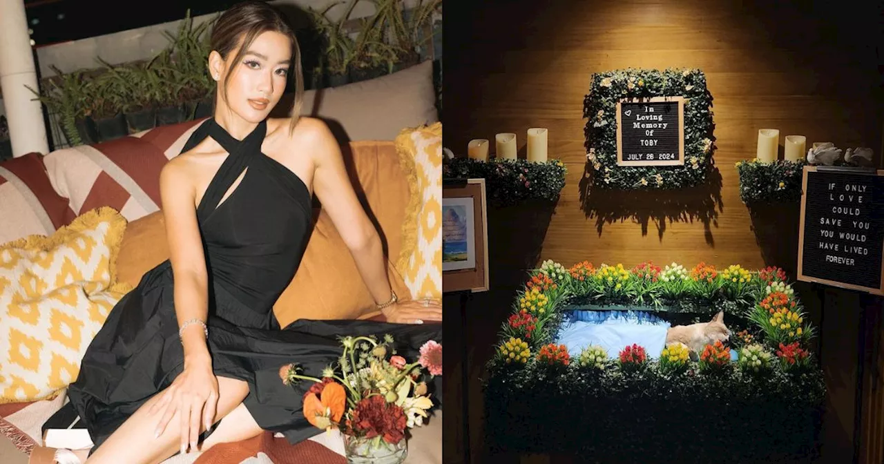 Janeena Chan mourns death of her pet cat Toby