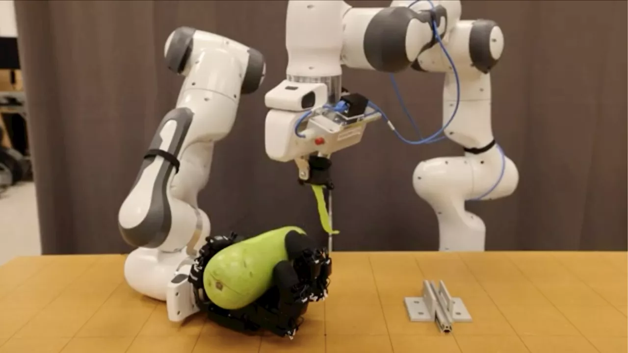 MIT’s new robot gently peels squash with one hand while holding it by other