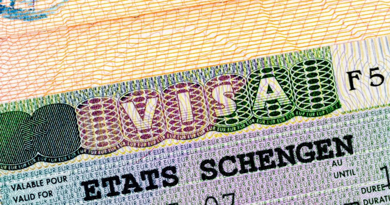 Fachkräfte willkommen: Deutschland erteilt 80.000 Arbeitsvisa in 2023