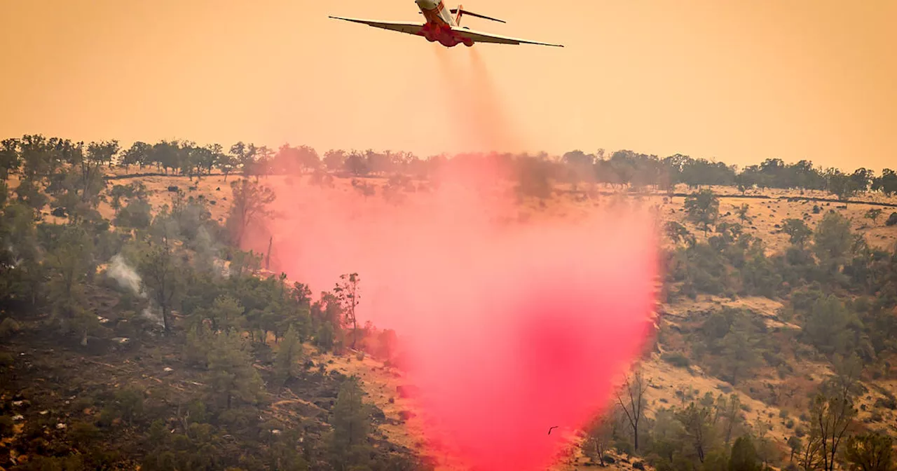 Etats-Unis : un méga-feu en cours devient l’un des plus gros recensés en Californie