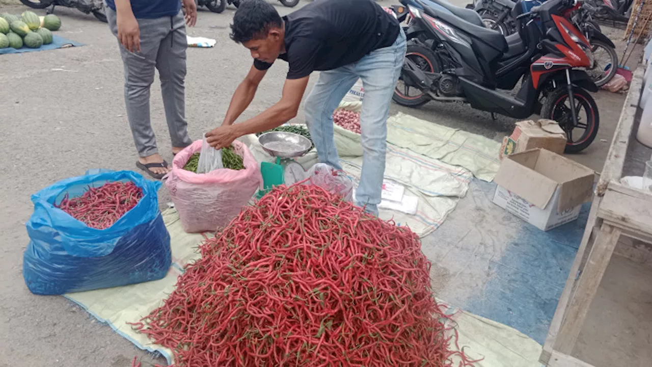 Bapanas Perkuat Distribusi untuk Menekan Harga Cabai Rawit Merah