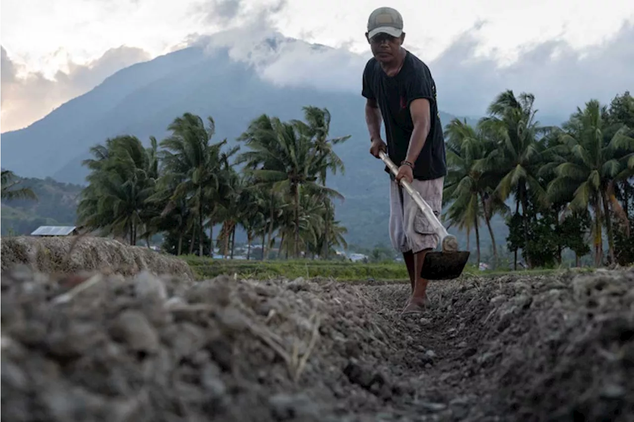 Inovasi Benih Atasi Kendala Pertanian Tanaman Pangan