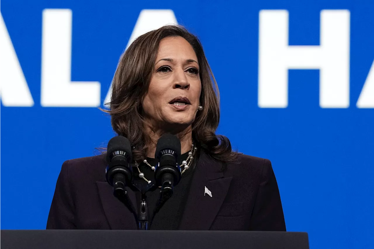 Kamala Harris Slams Donald Trump's 'Unhinged' Minnesota Attacks