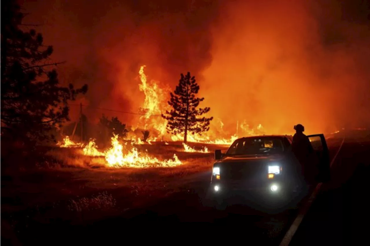 Bosbrand in Californië is een van de grootste ooit in de Amerikaanse staat