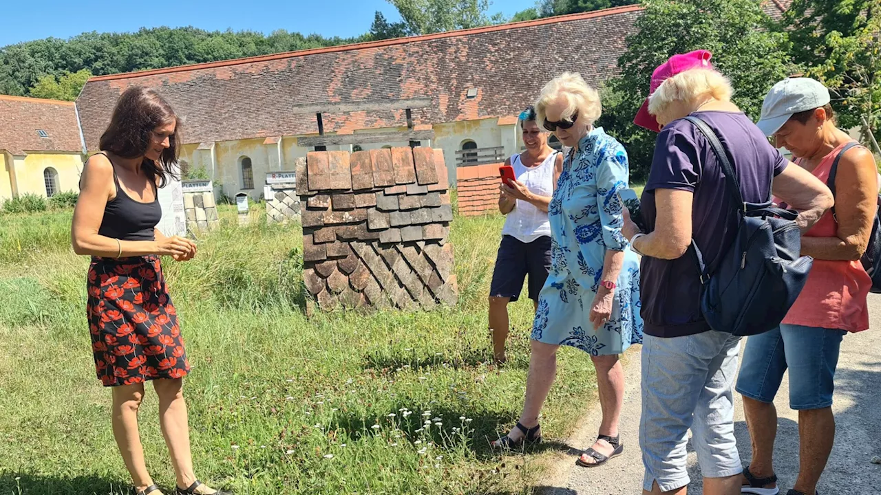 Kräuterführung durch archaische Gefilde in Mauerbach