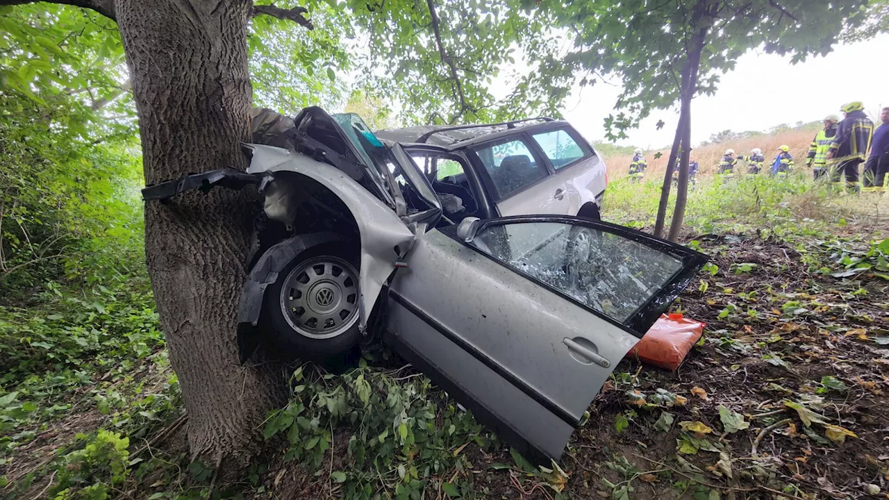 Lenker prallte mit Pkw gegen Baum und wurde schwer verletzt