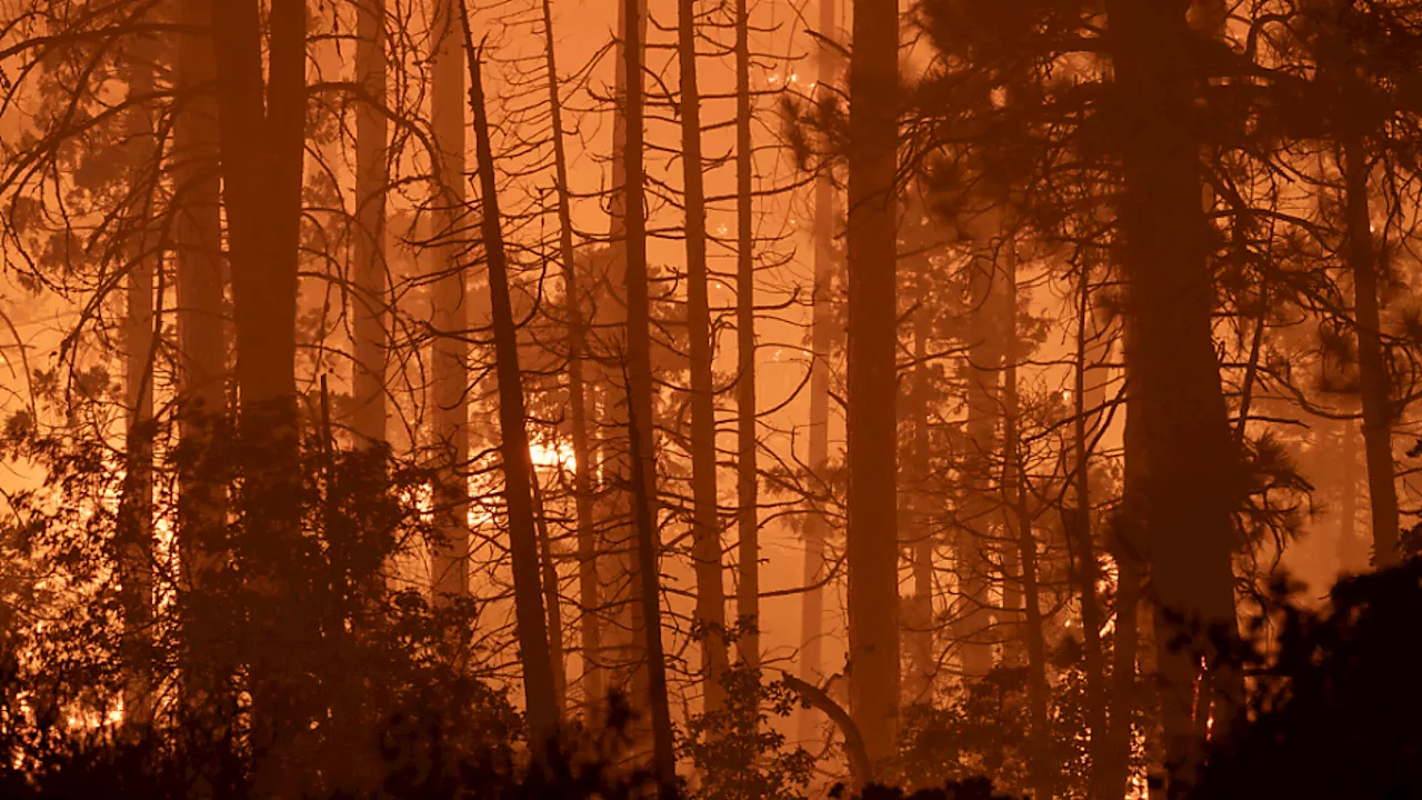 Waldbrände in Kalifornien wachsen weiter rasant