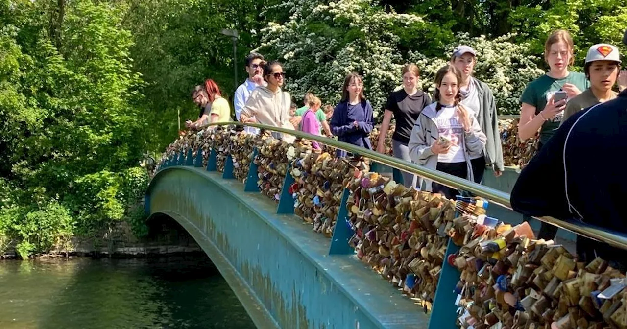 Message to owners as popular town's lovelocks must be removed