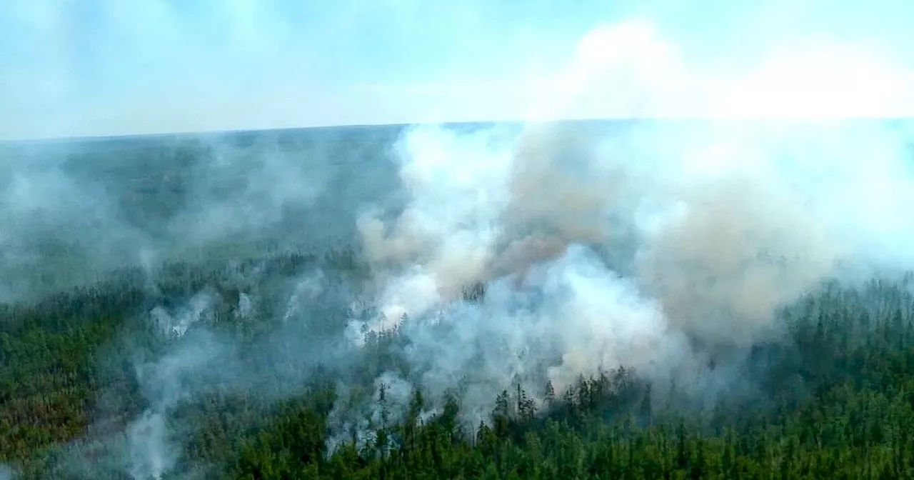 Waldbrände in Sibirien auf mehr als einer Million Hektar