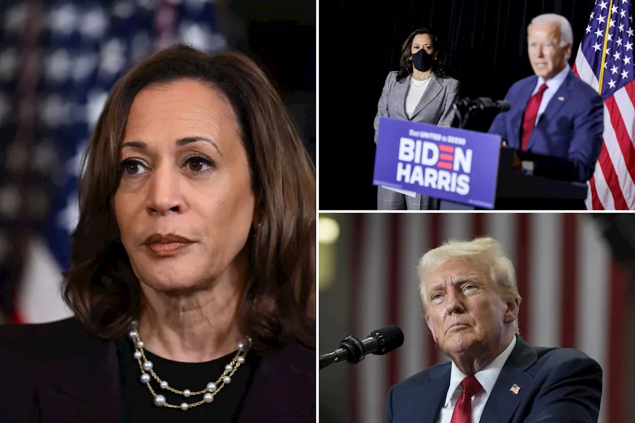 Kamala Harris enjoys $200 million bonanza during her first week, campaign claims