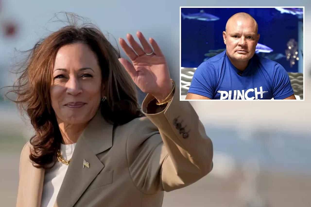 Kamala Harris presidency would cause business owners to 'lose their American dream,' entrepreneur says