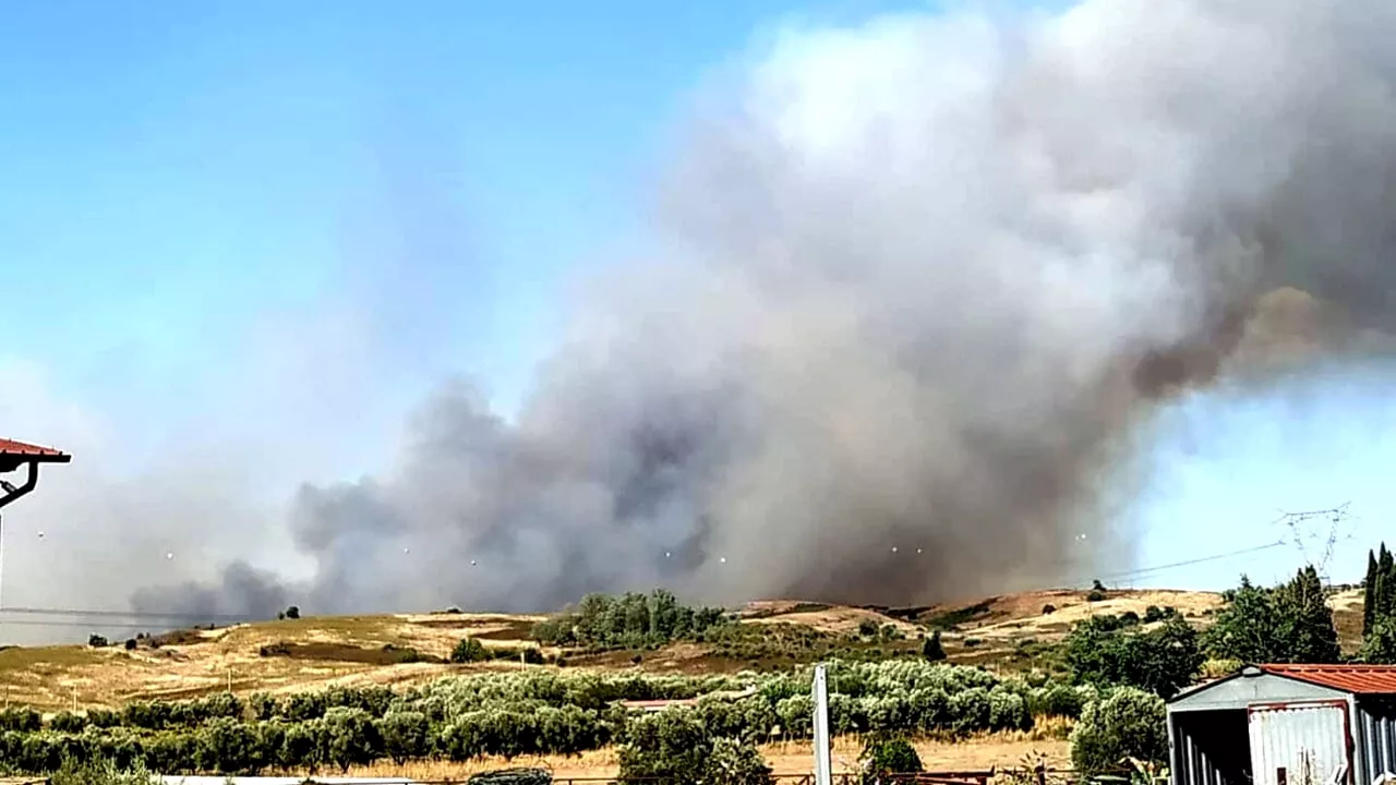 Incendi a Roma: fiamme a Prima Porta, Cesano, La Storta e Ponte Mammolo. Brucia anche l'area del cimitero