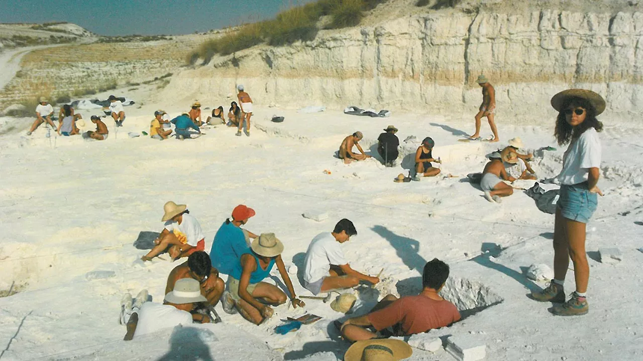 Oldest Human Fossils in Europe Discovered: 1.3 Million-Year-Old Remains Challenge Previous Migration Theories