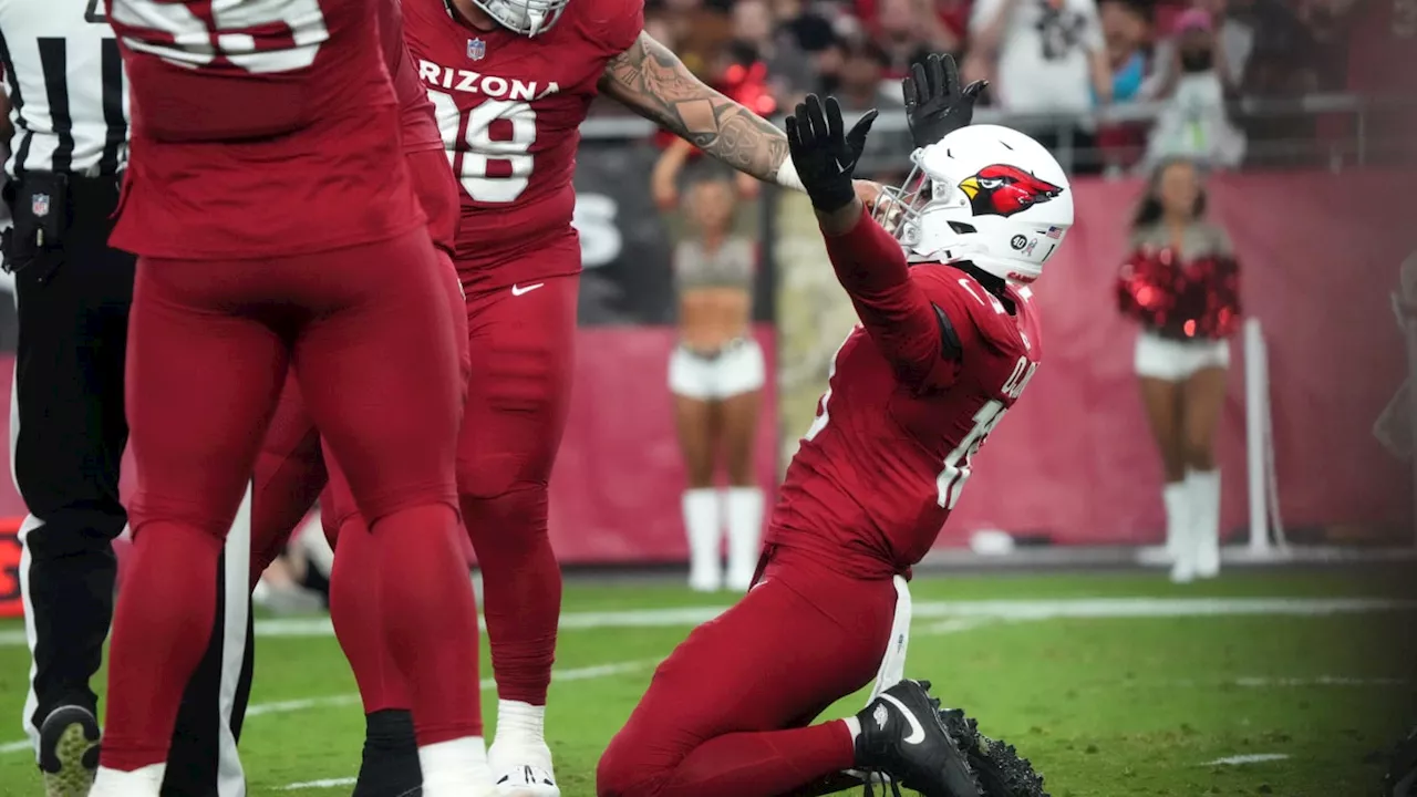 Arizona Cardinals OLB Expecting 'Really Big Season'