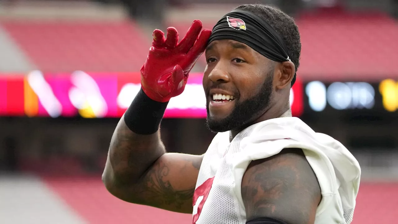 WATCH: Budda Baker Shares Moment With Arizona Cardinals Fans