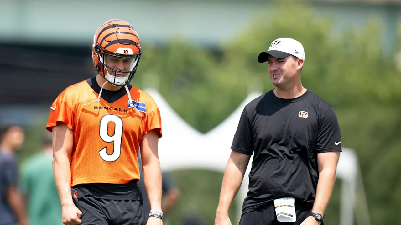 Watch: Cincinnati Bengals Highlights and Training Camp Recap