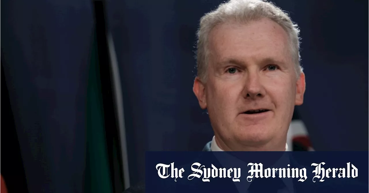 Tony Burke’s new ‘super portfolio’: Immigration and home affairs shift hands in reshuffle