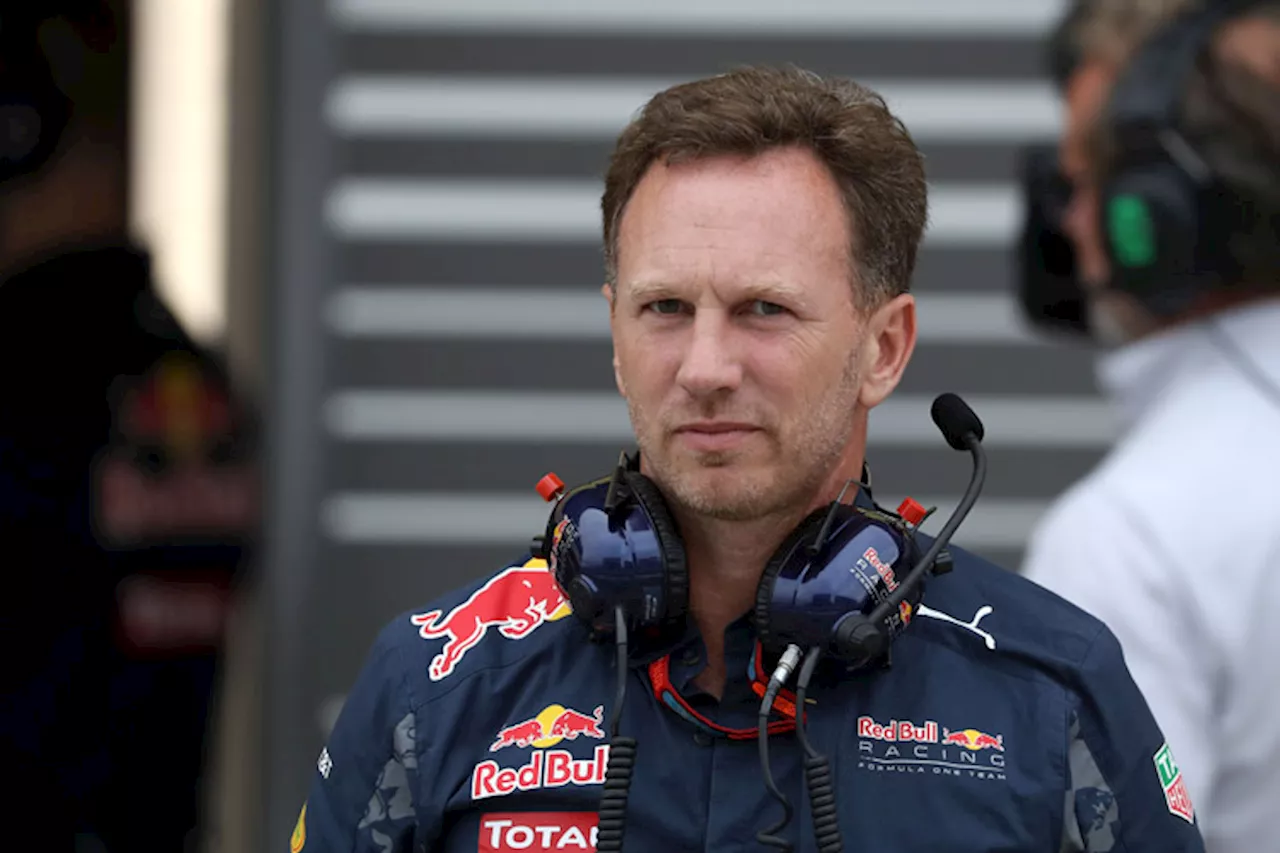 Christian Horner: «Max fuhr einfach an die Box»