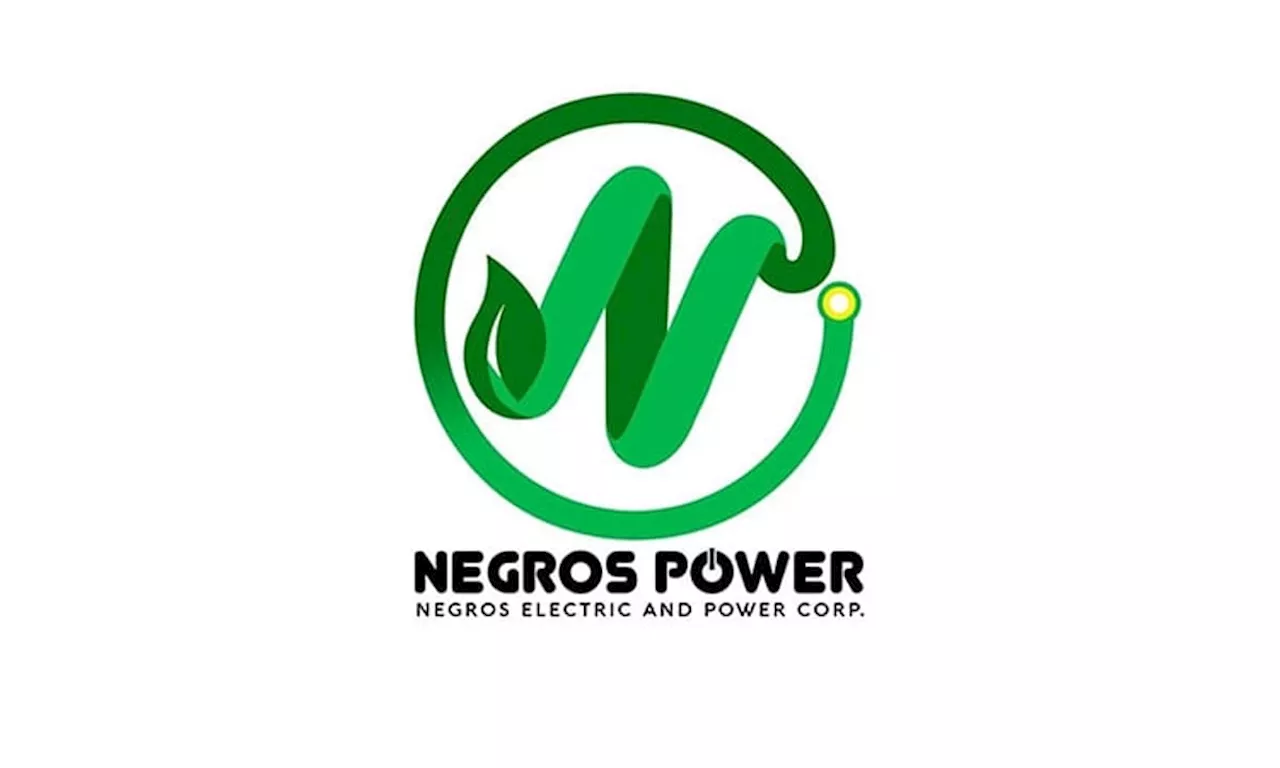 Bacolod Council asks NEPC to submit proposed plans for power outages